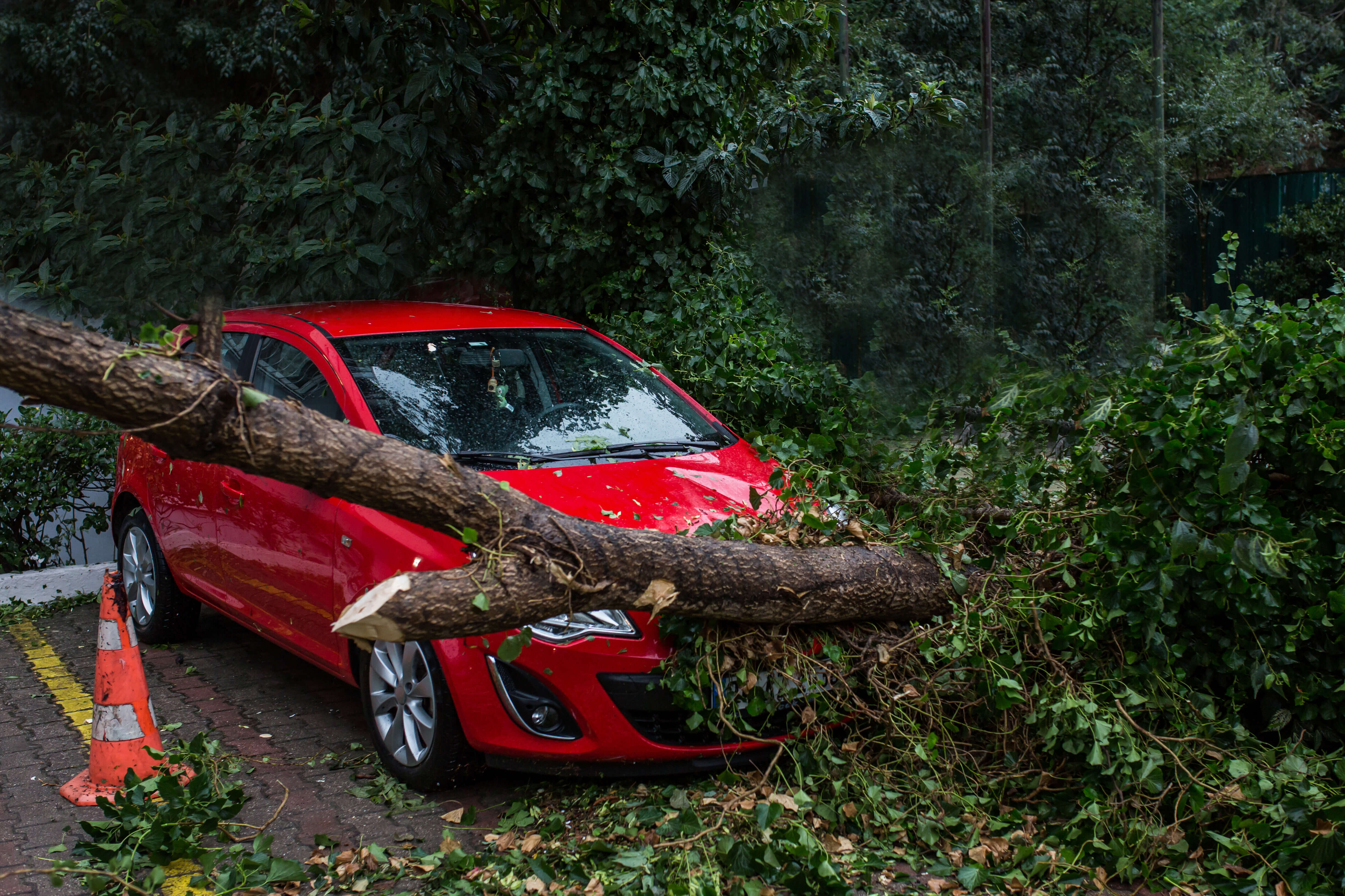 A tree that has fallen on a vehicle covered by comprehensive insurance.