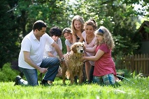 Life Insurance Quote