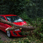 A tree that has fallen on a vehicle covered by comprehensive insurance.