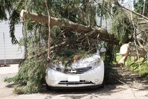 comprehensive-car-insurance-in-colorado